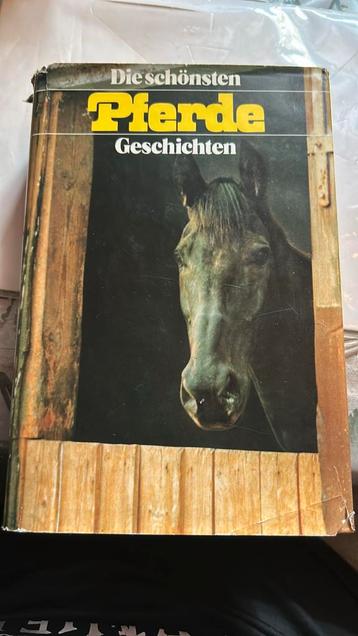 Pferde beschikbaar voor biedingen