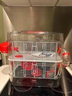 Cage hamster russe, Animaux & Accessoires, Enlèvement ou Envoi, Cage, Hamster