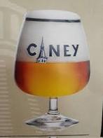 Ciney bierglas van 25cl, Ophalen, Zo goed als nieuw, Bierglas