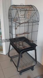 Vogelkooi als nieuw, Ophalen, Zo goed als nieuw