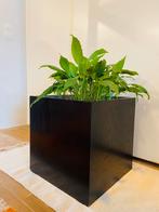 Grote strakke vintage houten bloembak, Minder dan 60 cm, Vierkant, Ophalen of Verzenden, Zo goed als nieuw