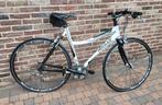 Damesracefiets te koop merk Ridley, Ophalen, Zo goed als nieuw, Overige merken