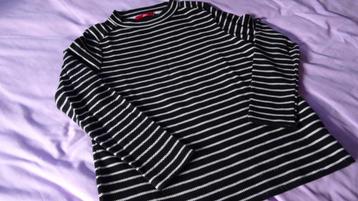 TRUI S OLIVER beschikbaar voor biedingen