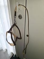 Collier pour chien en cuir avec laisse, Enlèvement ou Envoi, Utilisé, Laisse pour chien