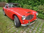 Austin-Healey 100/6 BN4 fast road -light wheight - hard top, Cuir, Propulsion arrière, Achat, Rouge