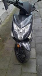 NIPPONIA E- Rex. A Klasse, Vélos & Vélomoteurs, Scooters | Marques Autre, Comme neuf, Enlèvement, Classe A (25 km/h), Électrique