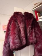 bont jas bordeaux, Kleding | Dames, Jassen | Winter, Ophalen, Zo goed als nieuw, Maat 36 (S)