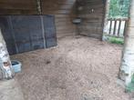 Stal te huur, Dieren en Toebehoren, Stalling en Weidegang