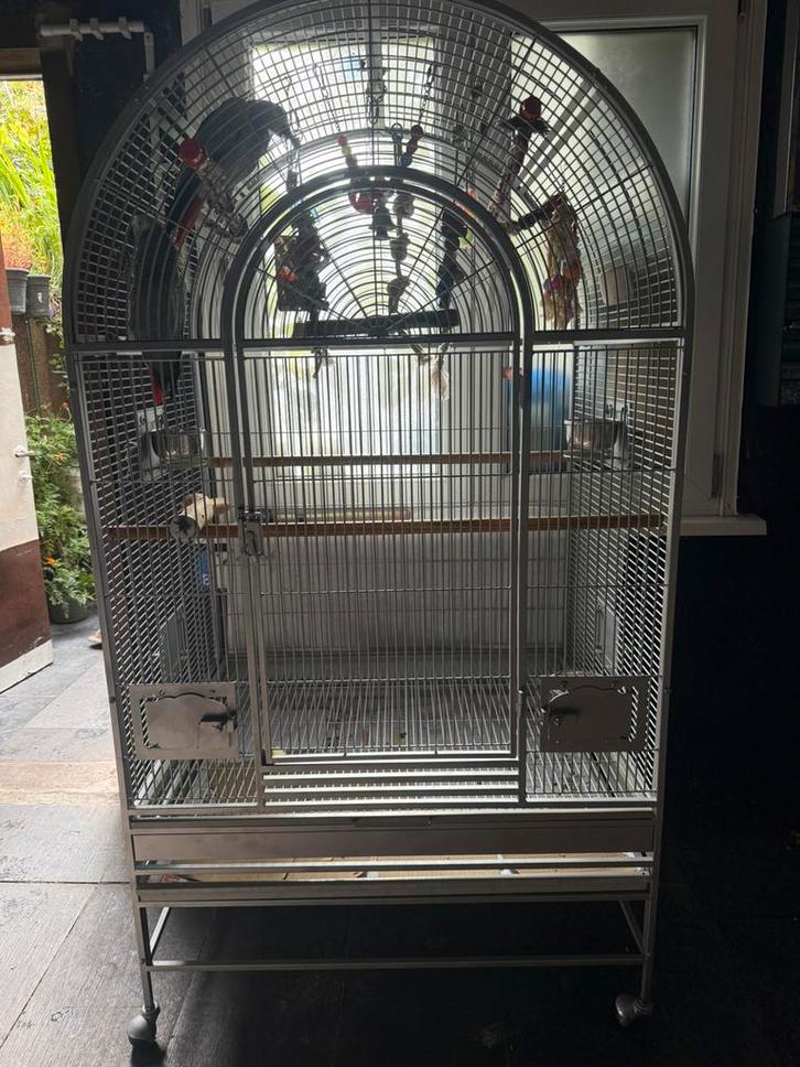 Grote papegaaienkooi, Animaux & Accessoires, Oiseaux | Cages & Volières, Comme neuf, Enlèvement