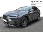 Lexus NX 350h Executive Line + HUD, Argent ou Gris, Achat, 2487 cm³, 5 portes
