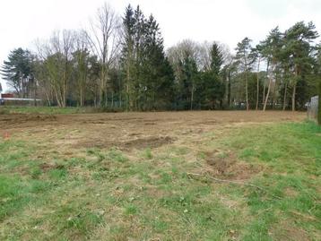 Grond te koop in Beringen, 500 à 1000 m²
