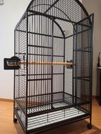 Cage assez grande pour un couple de perroquets, Animaux & Accessoires, Comme neuf, Enlèvement
