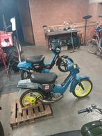 wallaroo 2× kan ook apart verkocht worden, 70 cc, 0 versnellingen, Klasse A (25 km/u), Ophalen