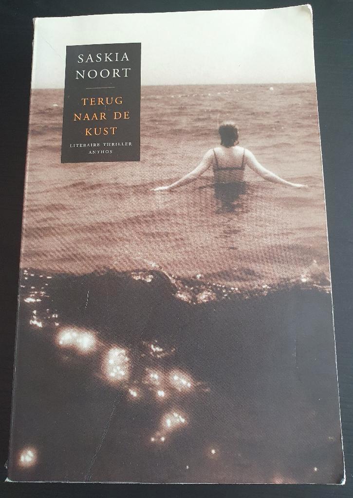Thriller van Saskia Noort: Terug naar de kust, Livres, Thrillers, Utilisé, Enlèvement ou Envoi