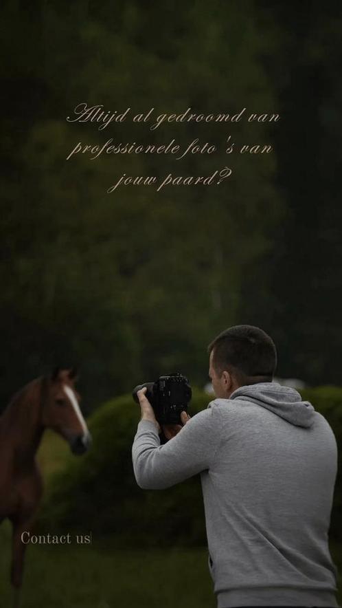 Betaalbare fotoshoots/videografie, Animaux & Accessoires, Chevaux