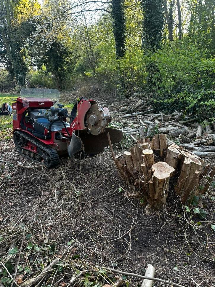 Rognage de souche / Déssouchage, Jardin & Terrasse, Bois de chauffage, Enlèvement