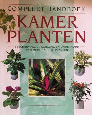 Kamerplanten beschikbaar voor biedingen