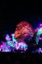 CHERCHE une place tomorrowland wk2 pack Green magnificent +, Meerdaags, Eén persoon