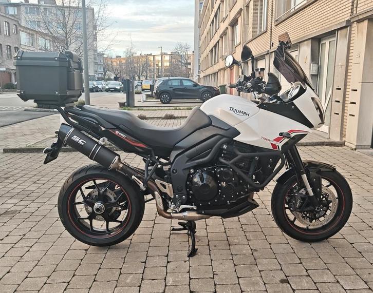 Triumph Tigre Sport 1050, Motos, Motos | Triumph, Particulier, Sport, Poignées chauffantes, Éclairage LED, Enlèvement