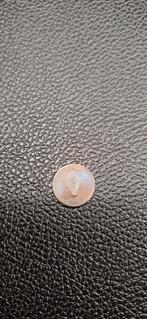 Tonga 1 siniti 1981, Postzegels en Munten, Munten | Oceanië, Ophalen of Verzenden