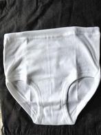 slipje - wit slipje maat 128 - 8 jaar 100% katoen Dulcia, Ophalen of Verzenden, Nieuw, Meisje, Nacht- of Onderkleding
