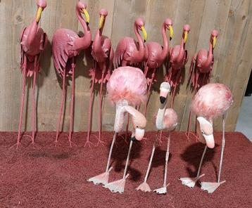 flamingo beschikbaar voor biedingen