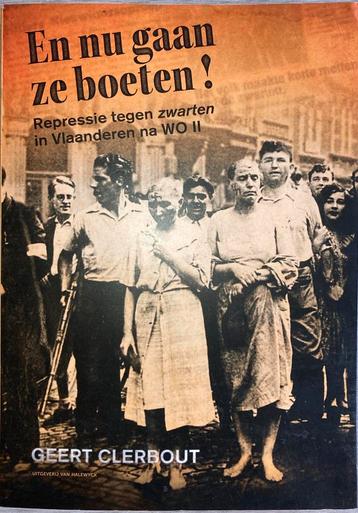 Geert Clerbout - En nu gaan ze boeten! beschikbaar voor biedingen