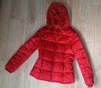 Winterjas van Bel&bo maatje 38 nieuw., Kleding | Dames, Ophalen of Verzenden, Nieuw