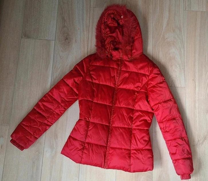 Winterjas van Bel&bo maatje 38 nieuw., Kleding | Dames, Jassen | Winter, Nieuw, Ophalen of Verzenden