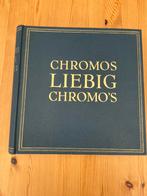 Vintage Liebig boek PRENTEN 276 stuks, Boeken, Prentenboeken en Plaatjesalbums, Ophalen of Verzenden, Zo goed als nieuw, Liebig