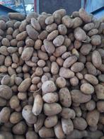 Vast kokende aardappelen, Zakelijke goederen, Landbouw | Aardappelen, Groenten, Fruit en Vlees, Ophalen