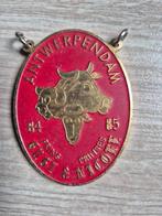 Carnaval medaille Antwerpendam 1984 - 1985, Postzegels en Munten, Penningen en Medailles, Ophalen of Verzenden
