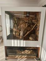 Grand terrarium pour reptiles ou rongeurs, Ophalen, Zo goed als nieuw