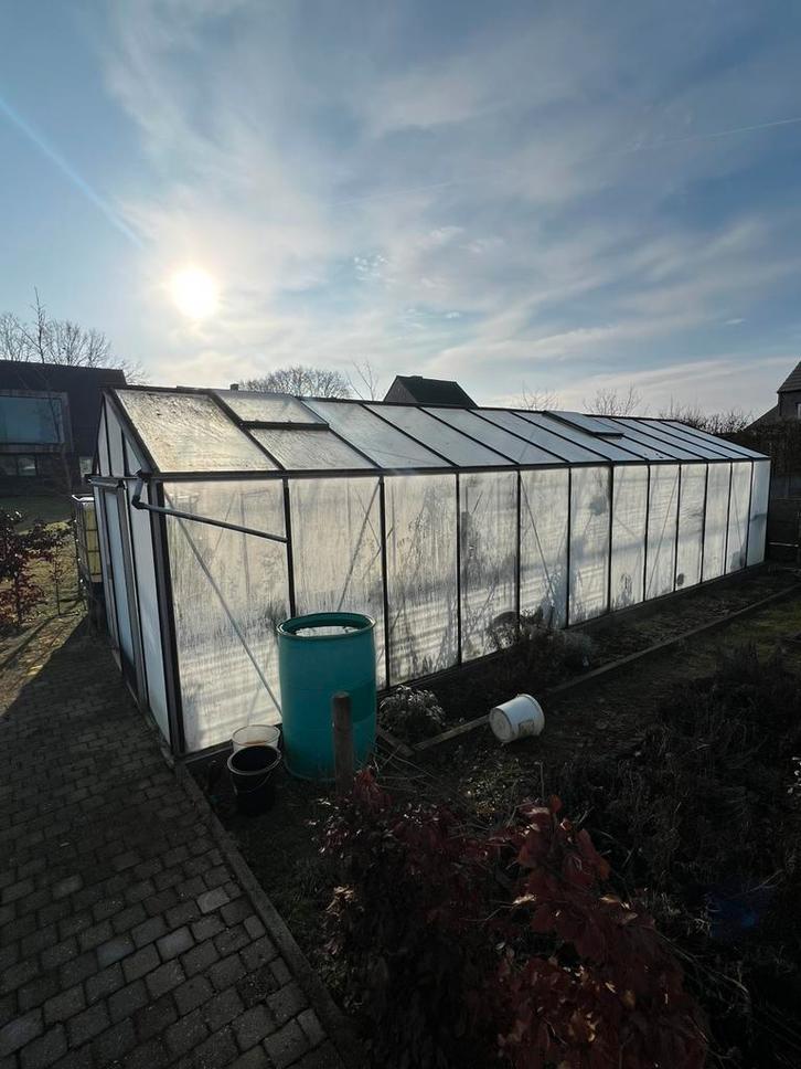 Serre 9m x 3.13m, Jardin & Terrasse, Serres, Utilisé, Serre, Aluminium, Verre, Enlèvement