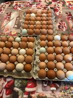 Verse eieren, Diversen, Levensmiddelen, Ophalen