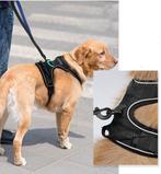Harnais chien anti traction, Animaux & Accessoires, Neuf