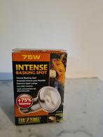 Warmtelampen voor reptielen (verkoop voorraad), Enlèvement, Neuf, Éclairage