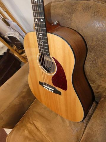GIBSON ELECTRO-ACOUSTIQUE FISHMAN beschikbaar voor biedingen