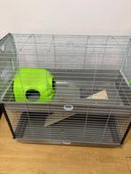 Cage lapin, Animaux & Accessoires, Rongeurs & Lapins | Cages & Clapiers, Enlèvement, Utilisé, Cage, Cobaye