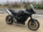 triumph tiger 1050 + motoraanhangwagen, Motoren, Motoren | Triumph, 3 cilinders, Particulier, 1050 cc, Meer dan 35 kW
