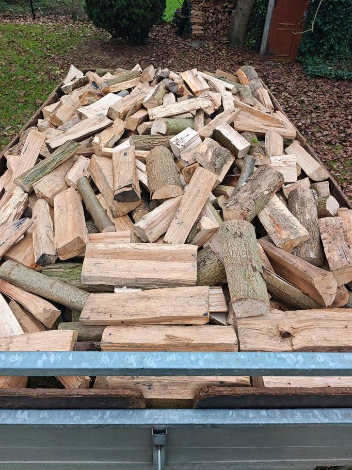 Brandhout droog mengeling van eik en es, Tuin en Terras, Brandhout, Ophalen