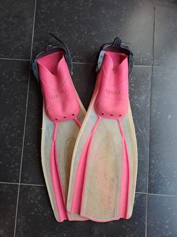 Mares plana avanti vinnen beschikbaar voor biedingen