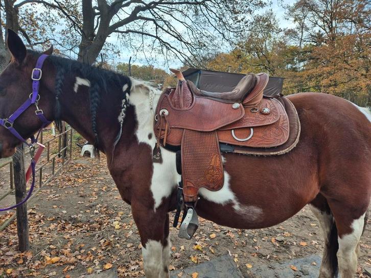 barefoot western zadel, Dieren en Toebehoren, Paarden en Pony's | Zadels, Zo goed als nieuw, Western, Ophalen of Verzenden