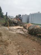 Opruimen stormschade, Ophalen of Verzenden
