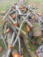 Kerselaar brandhout, Tuin en Terras, Brandhout, Minder dan 3 m³, Ophalen, Overige houtsoorten