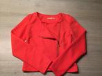 Vestje maat S, Kleding | Dames, Truien en Vesten, Ophalen of Verzenden, Maat 36 (S)