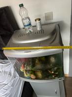 Superfish aquarium L48 x H40 x B36cm, Dieren en Toebehoren, Vissen | Aquariumvissen, Zoetwatervis