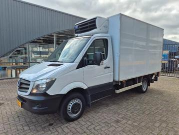 Mercedes-Benz Sprinter 519 CDI Kuhlkoffer/ LBW/ Carrier Xari beschikbaar voor biedingen