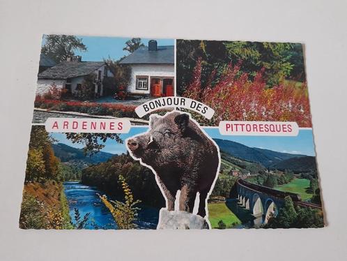 Postkaart - Bonjour des Ardennes, Verzamelen, Postkaarten | België, Ongelopen, 1960 tot 1980, Ophalen of Verzenden