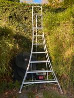 Location échelle jardinier de 3 mètres pour haie, Ladder